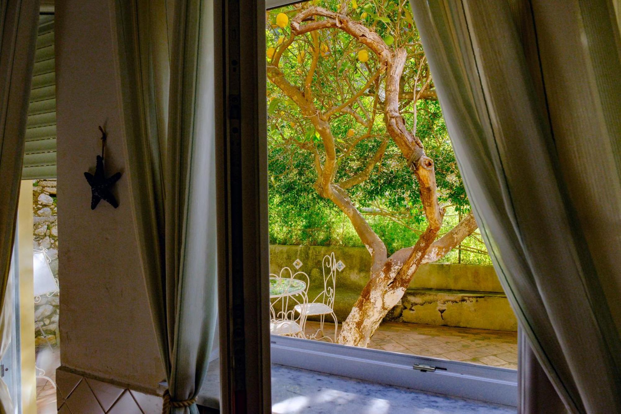 Casa de hóspedes Dorothee Capri